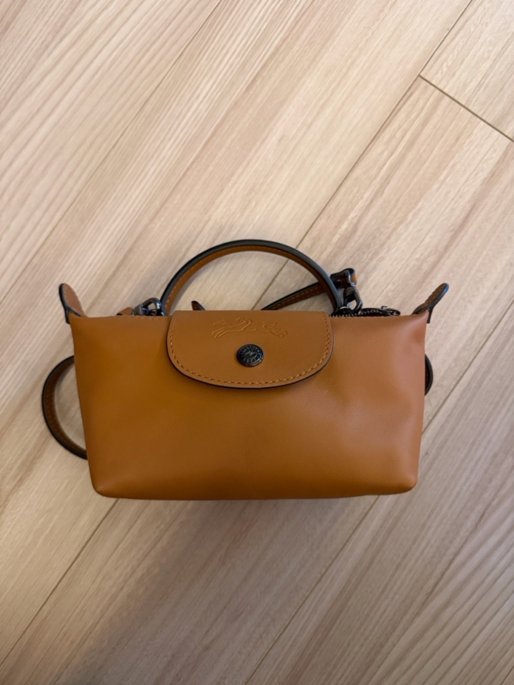 Longchaml Le Pliage Xtra XS Pouch